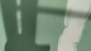 Как правильно заделать шов ГКЛ,ГВЛ (больше не треснет)