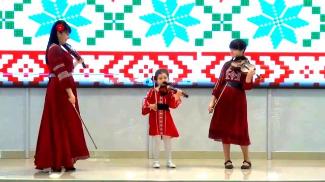 Гагаузская скрипка сыграла на струнах души в День работников культуры смотреть онлайн