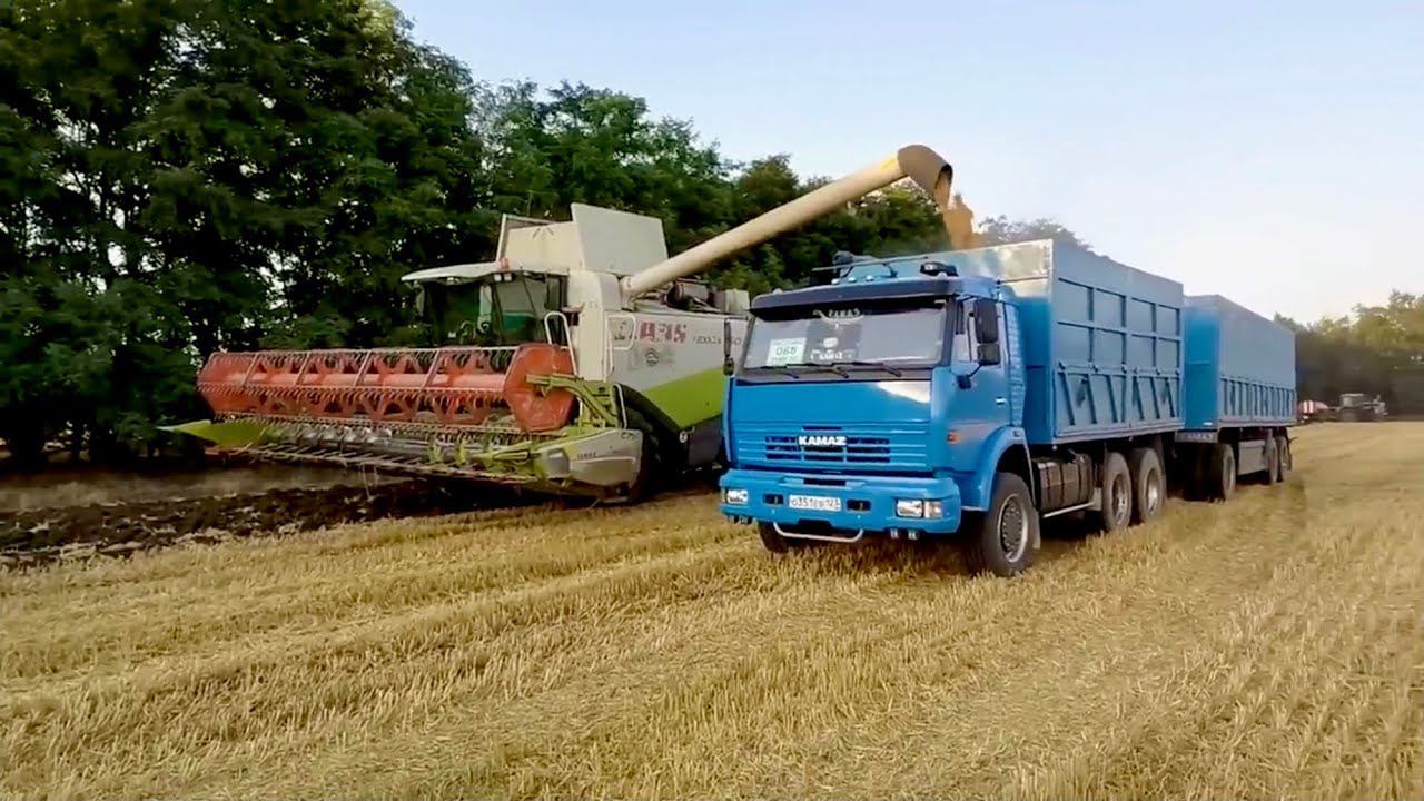 Как зарабатывает КАМАЗ ? Один день из жизни камазиста смотреть онлайн