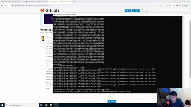 Homelab Series - Setting up Gitlab Notifications to Mattermost Server with Self signed Certs смотреть онлайн