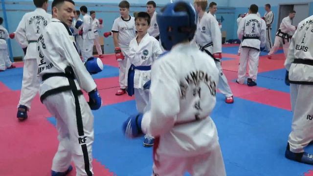 Спарринг-семинар Олега и Кати Соловей Taekwondo ITF смотреть онлайн
