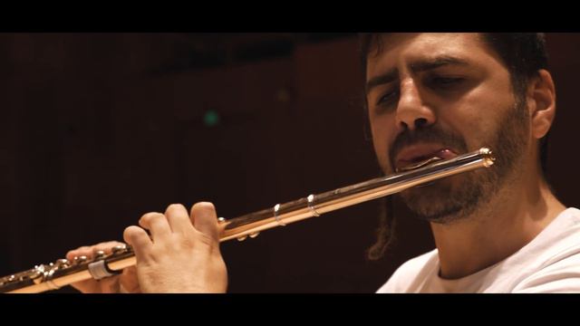 Dinu Lipatti - Introduction et Allegro for Solo Flute B. 21 смотреть онлайн