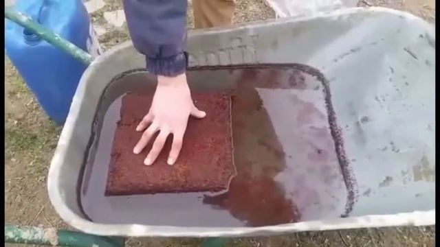 Kaip išbrinkyti kokoso lukštų briketą? смотреть онлайн
