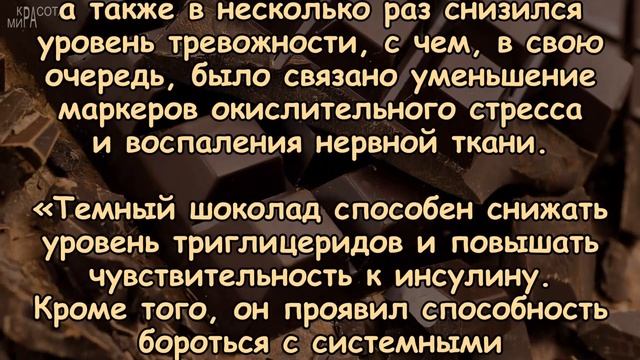 СВЕТЛАЯ ТАЙНА ТЁМНОГО ШОКОЛАДА
