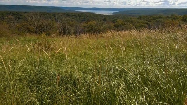 Destination Michigan  Explore Michigans Natural Wonders