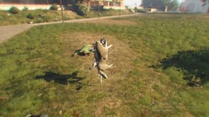 9 МЕСТ ГДЕ НАХОДЯТСЯ ЛОФОФОРЫ В ГТА 5!