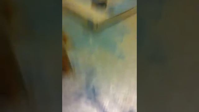 Львёнок из пластилина 2 смотреть онлайн