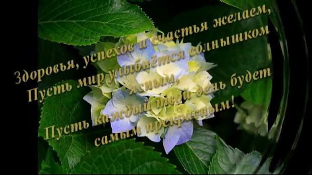 С Днём Рождения Оморфула.mp4 смотреть онлайн