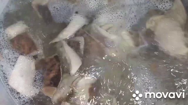 ‼️КАК ПРАВИЛЬНО ПОДГОТОВИТЬ И ПОЖАРИТЬ ТРУТОВИК ЧЕШУЙЧАТЫЙ??‼️ смотреть онлайн