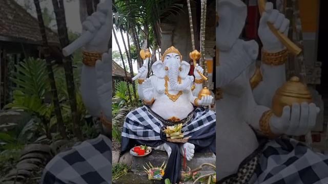 Ганеша - Бали в SPA центре #shorts смотреть онлайн