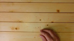 Поделки из втулок туалетной бумаги. Делаем к Пасхе вместе с детьми.[diy]