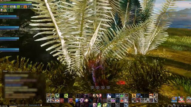 ArcheAge Опасные Квейсарские Сундучки. смотреть онлайн