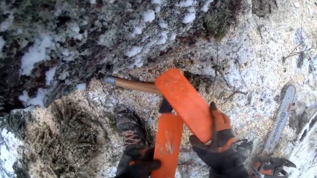 Another cold day at work with my Husqvarna 560 XPG! смотреть онлайн