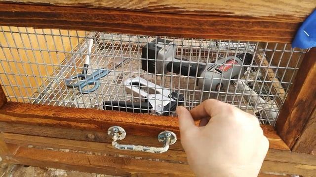 Брудер для цыплят Своими руками. Автономный птичник смотреть онлайн