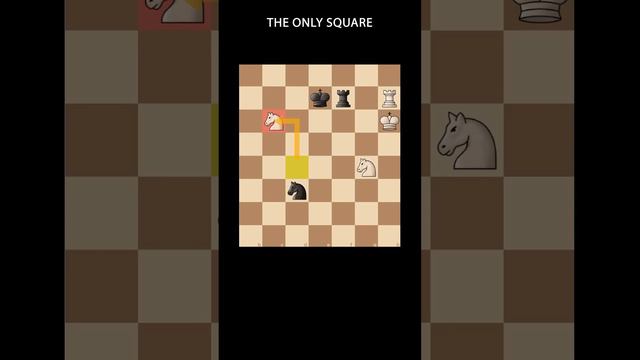 2 Knights Checkmate Trick смотреть онлайн