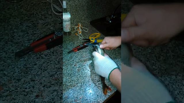 Окунь. Разделка смотреть онлайн