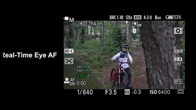Review Sony Alpha 7 IV | Mountain Bike Video