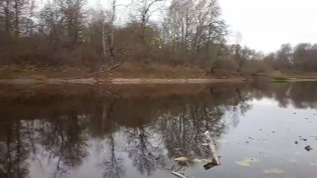 озеро Стара Десна (Бурімка) | озеро Старая Десна (Буримка) смотреть онлайн