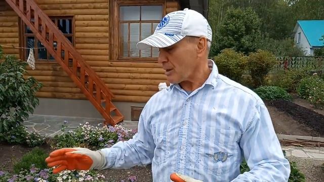 Не жги траву и ботву, пока не посмотрел этот ролик! 4 главных правила сжигания травы в саду смотреть онлайн