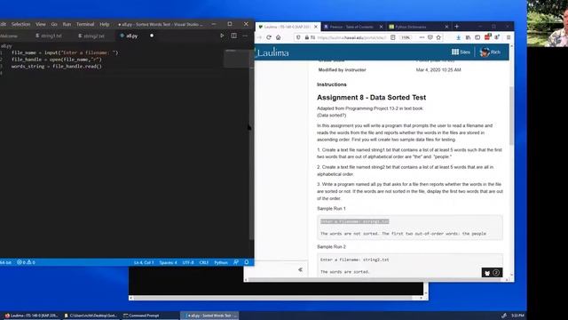 Python Sorted Words Test using Visual Studio Code смотреть онлайн
