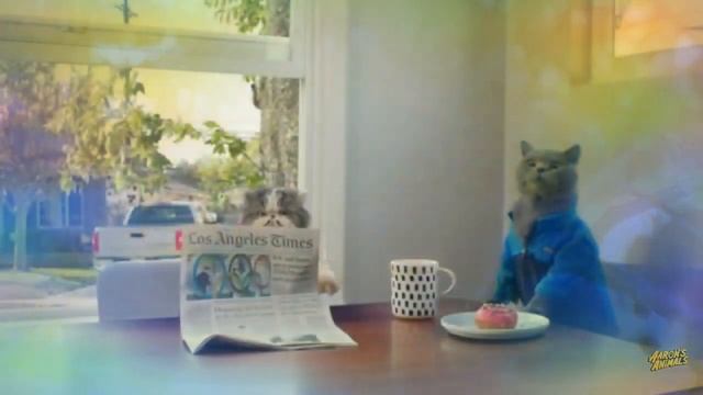 Самый популярный кот Майкл : Рамзат смотреть онлайн