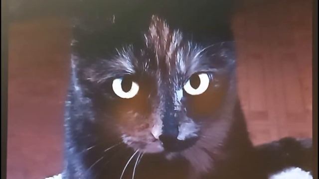 слов нет, да и сказать нечего. смотреть онлайн