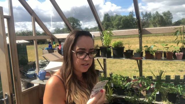 Video: Unboxing Of The Secret Gardening Club Mystery Plant Box