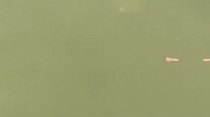 ЭGO  -  Всё По Кайфу, Ведь Я У Руля (CAR VIDEO)