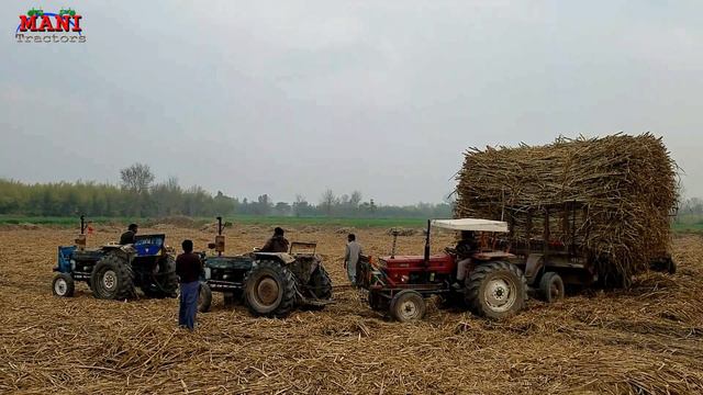 Tractor stunt Wow Ghzi tractor doing special | 5 tractors pulled out heavy load trolly смотреть онлайн
