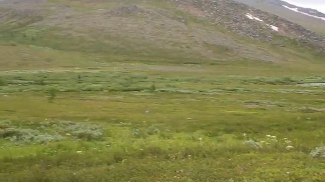 Среднее течение реки Большой Хоймад. смотреть онлайн