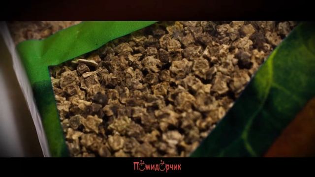 Семена Свекла кормовая "Урсус Поли" - Помидорчик смотреть онлайн