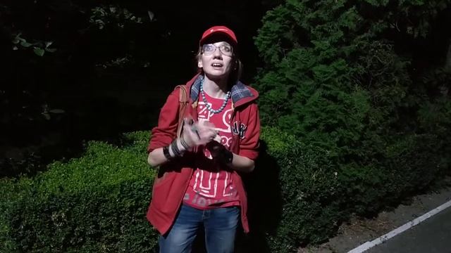 Евгения Бильченко - стихи старым киевлянам смотреть онлайн
