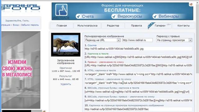 vstavka kartinok смотреть онлайн