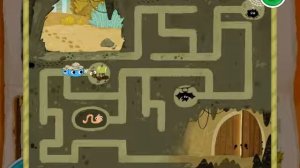 Котики, вперед!