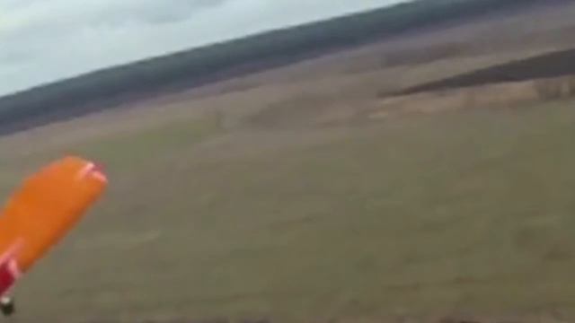 Коллапс собаки смотреть онлайн