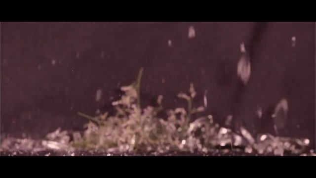 Kallos Conference 2015 смотреть онлайн