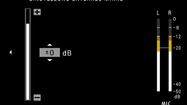 Filmen mit Fujifilm X Systemkameras: Der gute Ton zum Video (X-T5, X-T4, X-T3, X-S20, X-H2, X-H2S) смотреть онлайн
