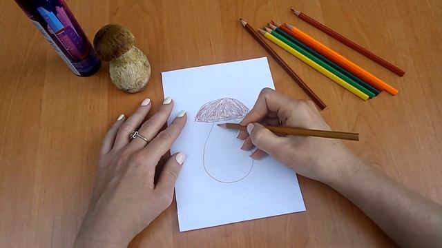 Как нарисовать белый гриб (4-7 лет) | Рисуем с Лохматиком смотреть онлайн
