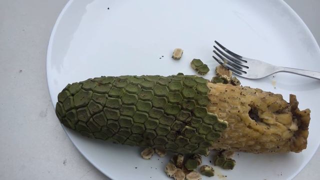 Monstera Deliciosa, (delicious monster) rare topical fruit. смотреть онлайн