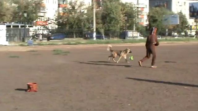 Фристайл с собакой - Акуна Матата смотреть онлайн