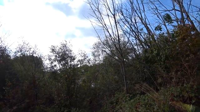 Наконец первые кряквы. Охота на уток 2023 09 18 смотреть онлайн