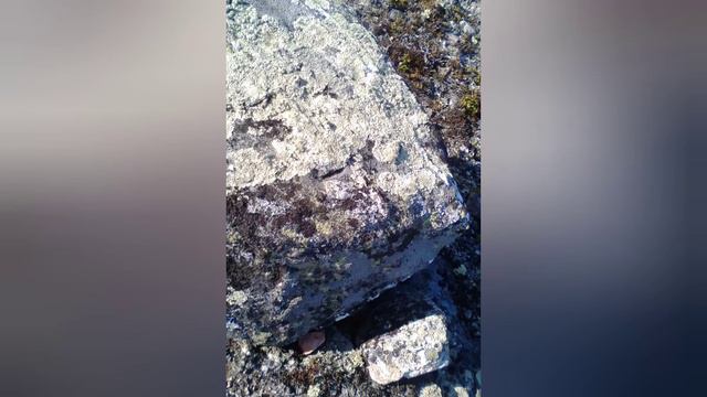 Разные камни.Кто их оставил,кто их делал? смотреть онлайн