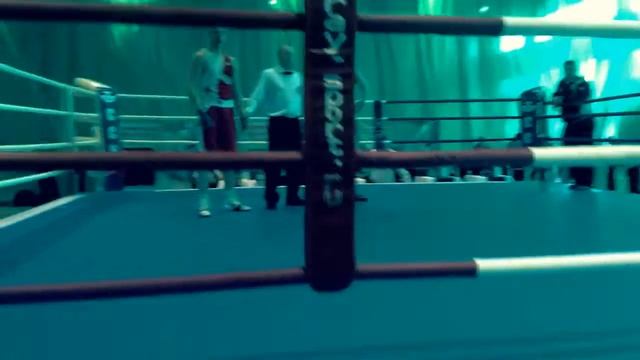 Городец- Приволжский округ по боксу на Кубок мэра Нижнего Новгорода Карнилина И. Н. смотреть онлайн