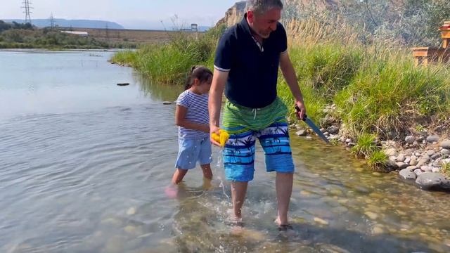 Домашние Животные и Их Уход