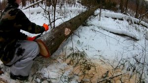 ИЗГОТОВЛЕНИЕ ОХОТНИЧЬИХ ЛЫЖ ВОЗЛЕ СТОЯНКИ. НАЧАЛО...