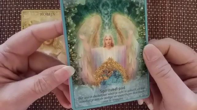 Bless your heart/have confidence ??????(timeless)Tarot/Oracle cards ❤??? смотреть онлайн