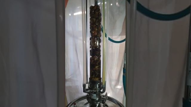 Экстрактор Сокслета смотреть онлайн