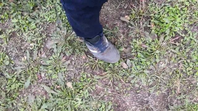 Чаузи Ф1 Странная любовь