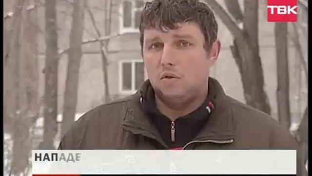 Красноярск. Бродячие собаки обгрызли мальчику лицо смотреть онлайн