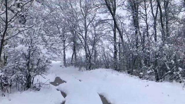 Дорога вдоль границы смотреть онлайн